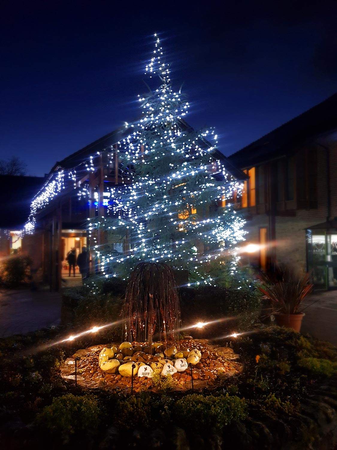 Nightingale-House-Hospice-Wrexham-North-Wales-In-Memory-Light-Up-A-Life-Tree-Lights-Tribute