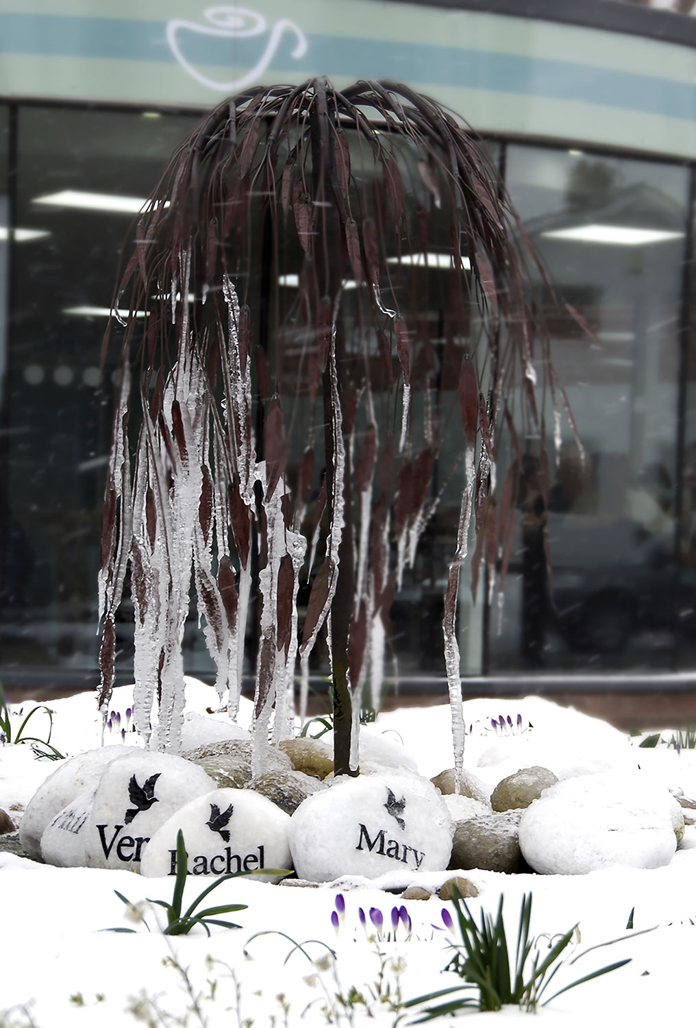 Nightingale-House-Hospice-Wrexham-North-Wales-In-Memory-Tribute-Fund-Stones-Caffi-Cwtch-Snow
