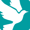 nightingale-house-hospice-wrexham-north-wales-white-bird-logo-square-teal-700px nightingale-house-hospice-wrexham-north-wales-white-bird-logo-square-teal-700px