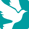 nightingale-house-hospice-wrexham-north-wales-white-bird-logo-square-teal-700px