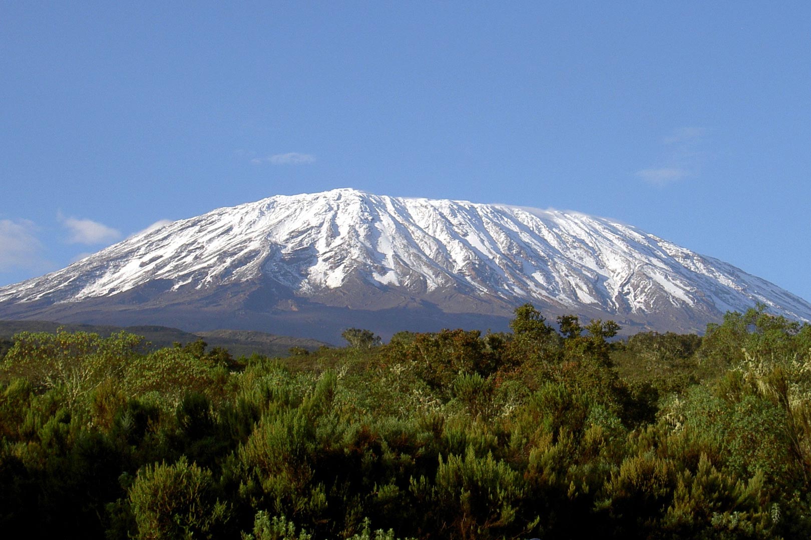 Nightingale House looking for intrepid fundraisers for its most “daring