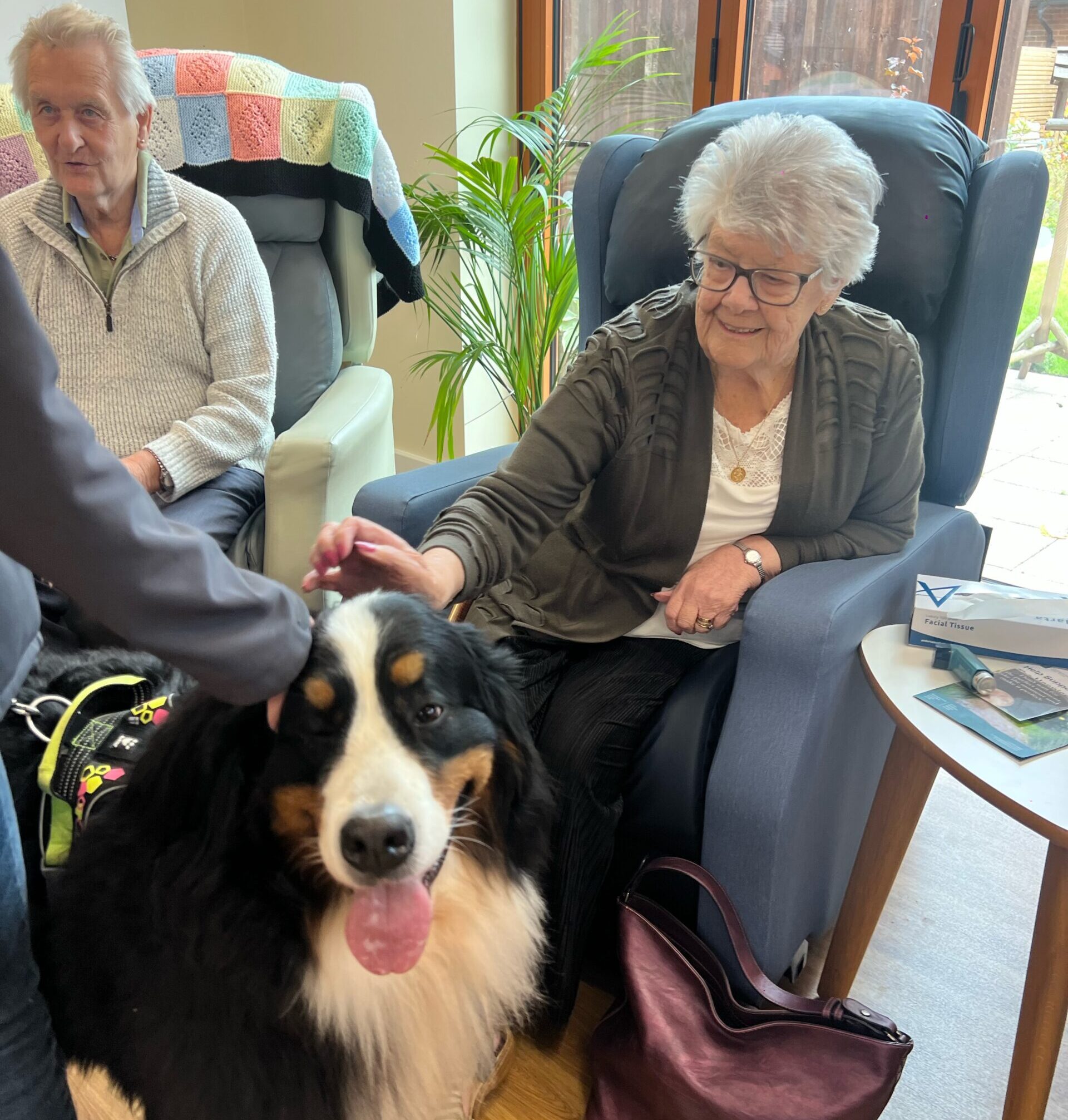 Therapy dogs visit hospice patients Nightingale House Hospice